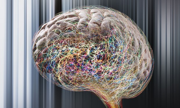 brain damage 1
