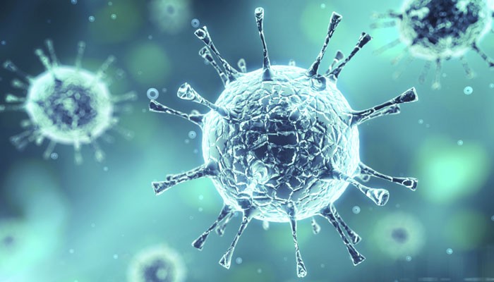 Do Viruses Really Make Us Sick?