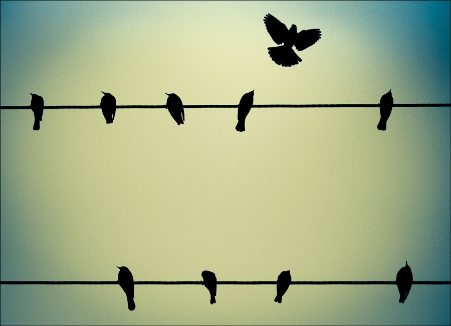 The Pain Of Living Here……….And How To Break Free!