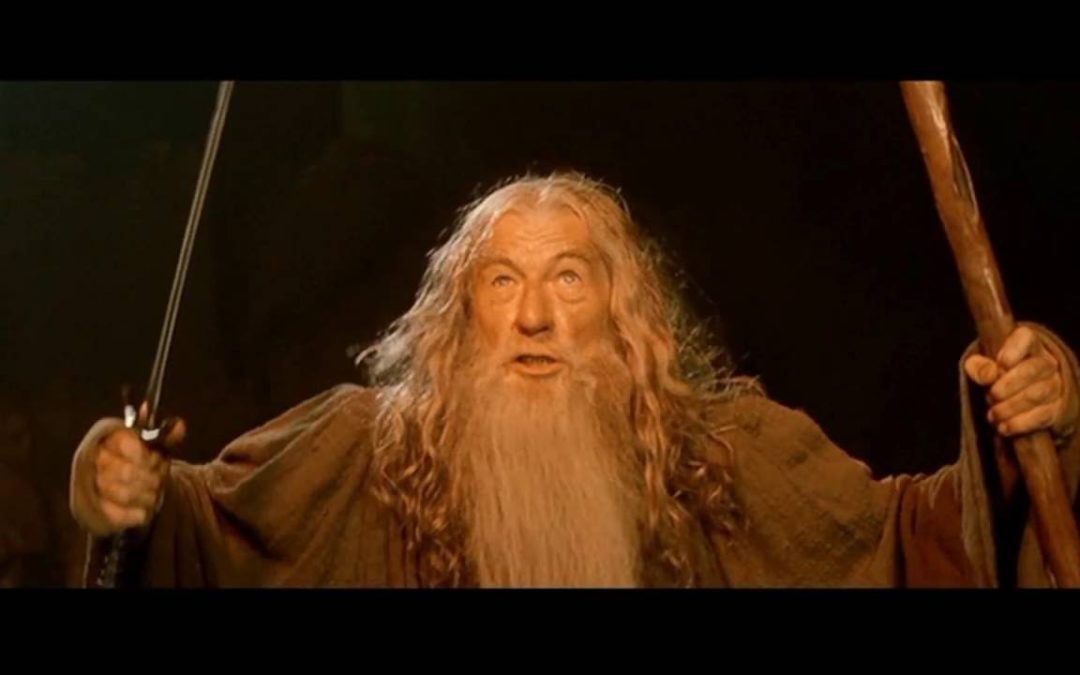 Adult and Hero Lessons from Gandalf The Grey