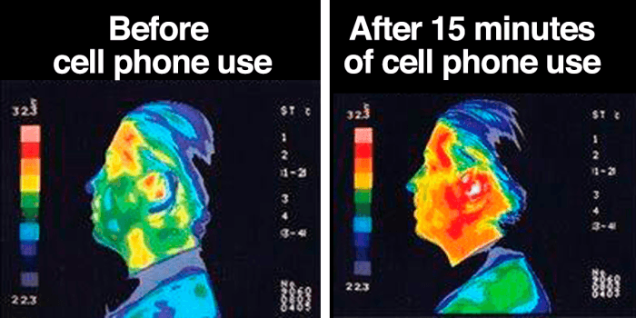 Cell Phones, Cancer and The Hunting of the Human Animal