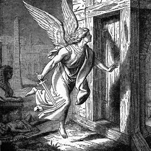 Stories from The Elders Over The Holidays – The Killing of The First Born Male