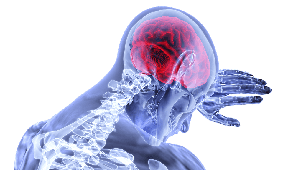 Anti Depressant Based Brain Damage