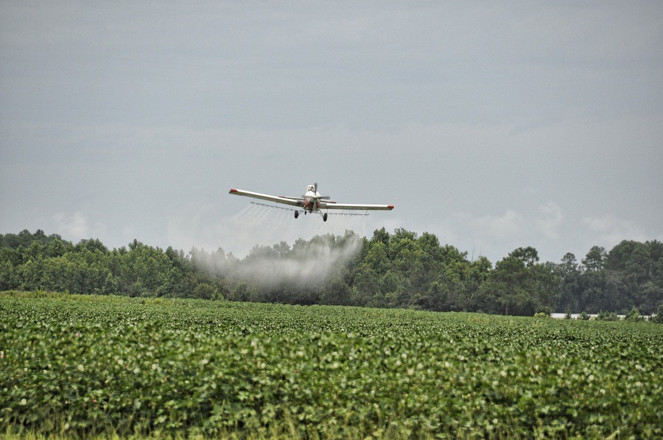 Round Up Herbicide (Glyphosate)
