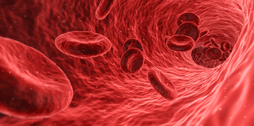 What They Don’t Tell You About Autoimmunity….