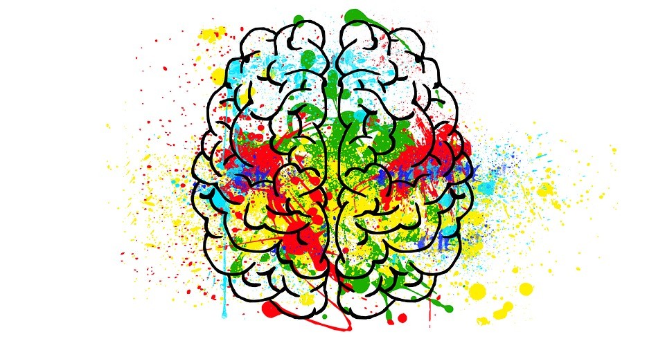 Relationship Between Prefrontal Cortex and Limbic System