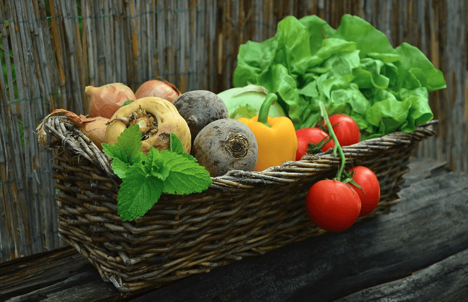 If You’re Healthy, Your Success is Guaranteed: Nutrition & Behaviour