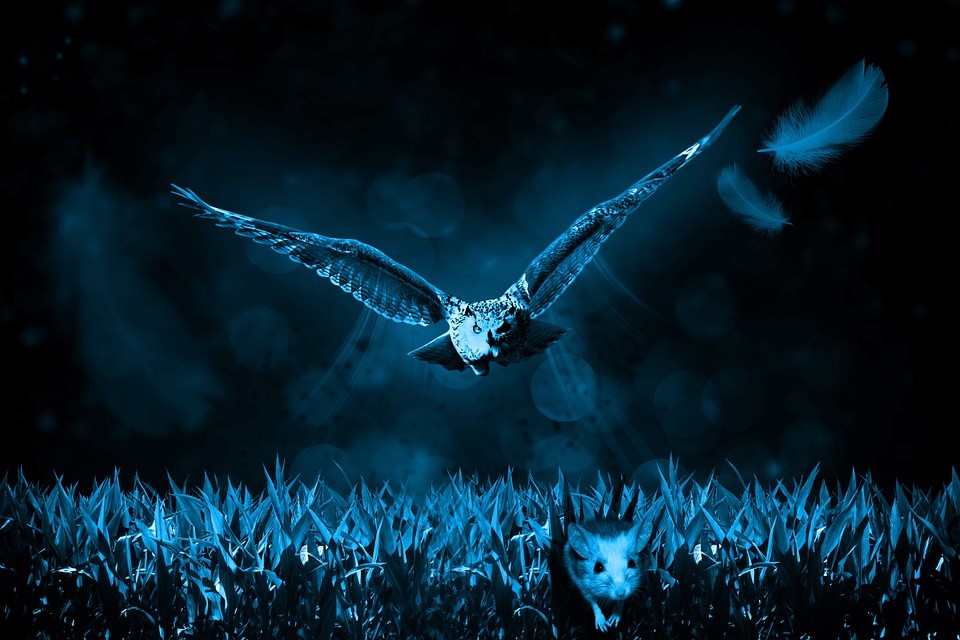 Evil Focuses on What’s Known as “Soft Targets”