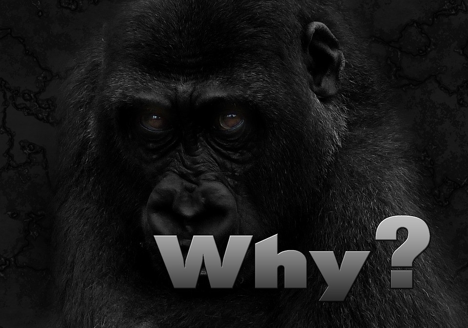 Why Grow Your own Food When you can Buy it at the Grocery Store, Covered in Poison?