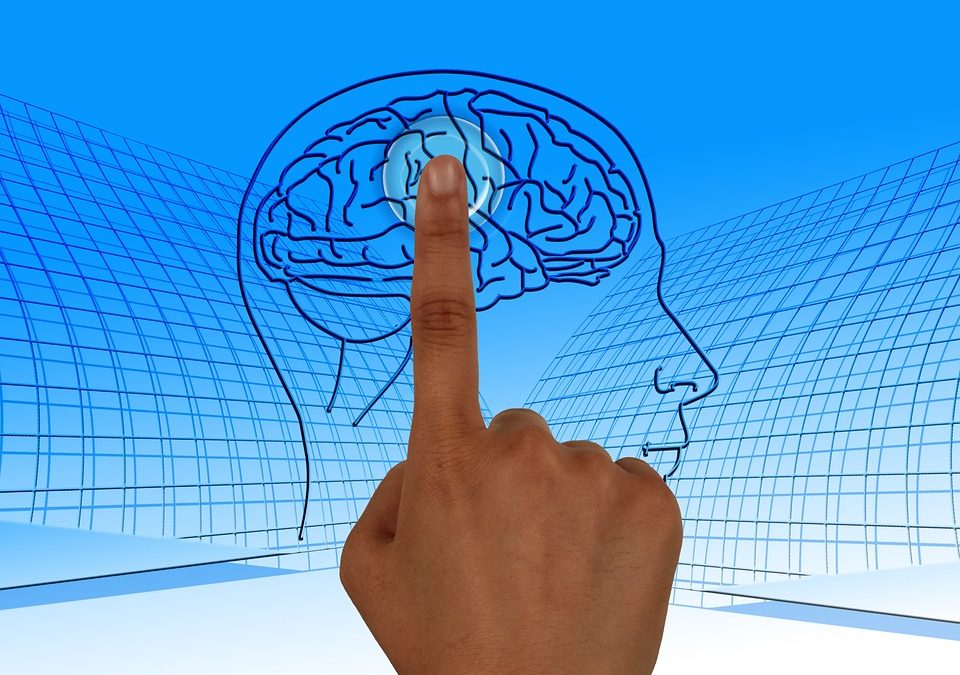 Programming the Human Mind With Rewards and Punishments