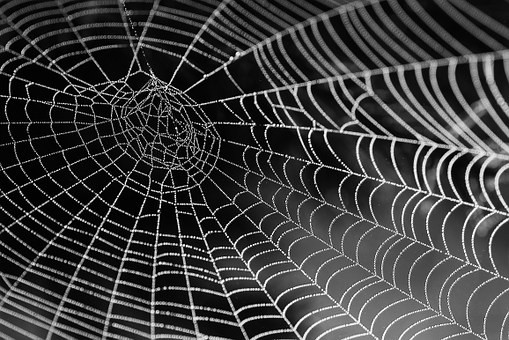 Psychotropic Drugs and Your Nervous System