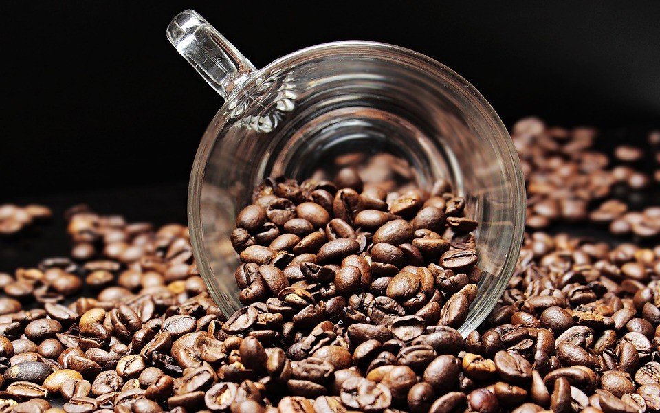 Caffeine – The Epicenter of our Disease Epidemic