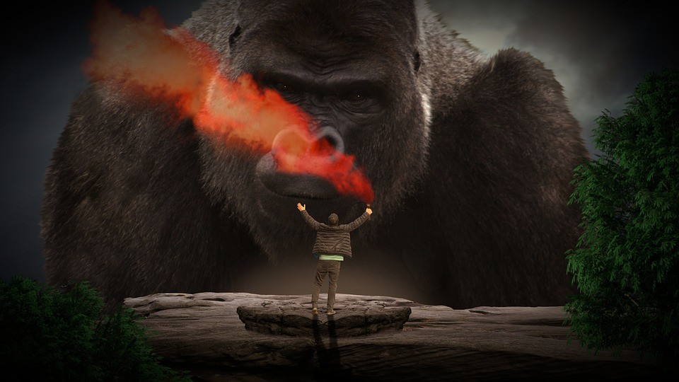 Seeking Protection With the new Alpha….