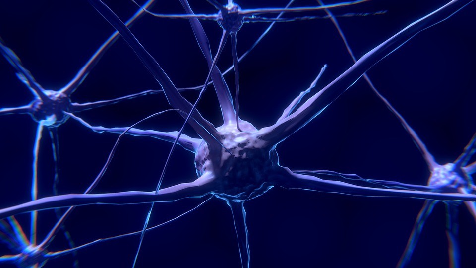 Human Farming Tactic #1 – Brain Damage