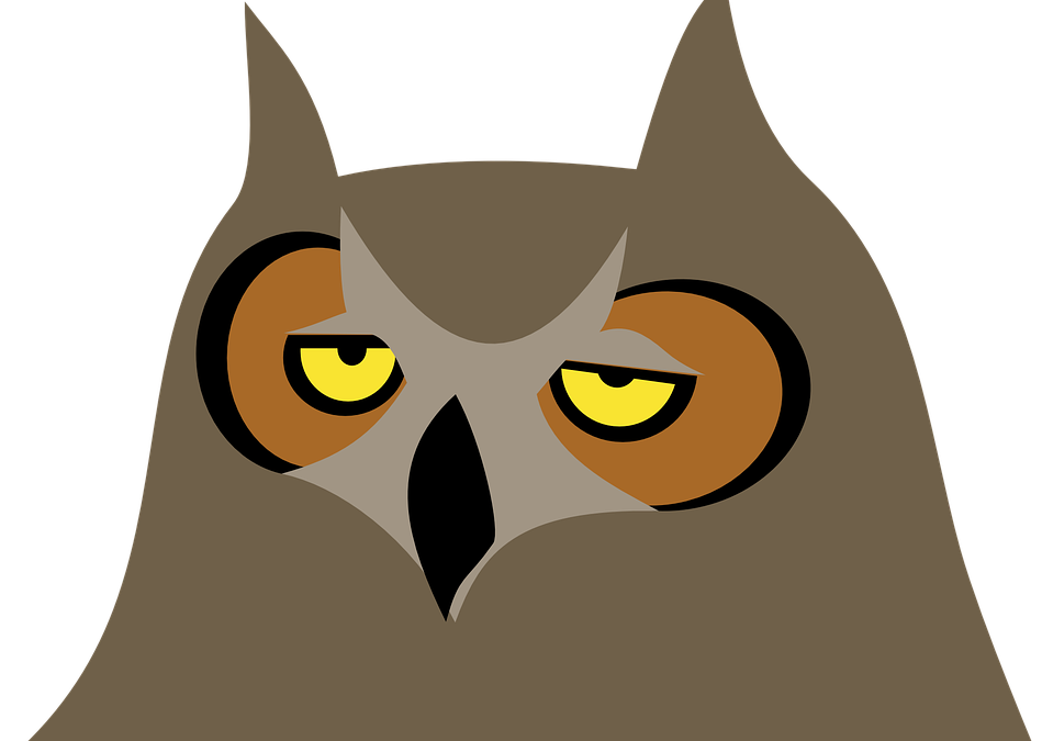 An Owl Face Stand Off Between Myself and My Daughter