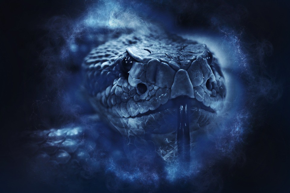 Company of the Serpent