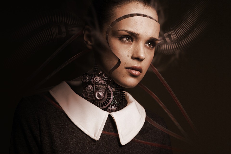 Another Day in the Life of an Indoctrinated Drone Bot
