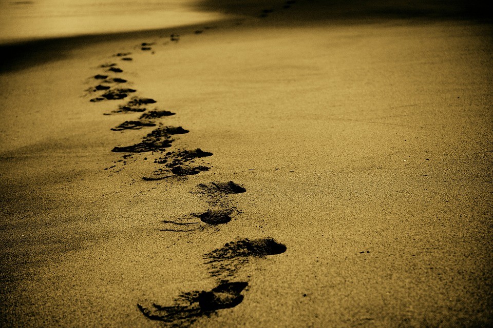 A Call To Action – A Call To Awakening………