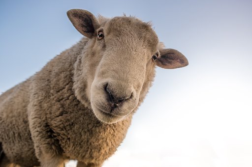 Why is Aluminum in Vaccines Anyway?
