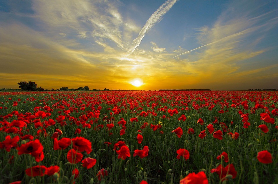 Governments Colluding To Lie About The Sun…….