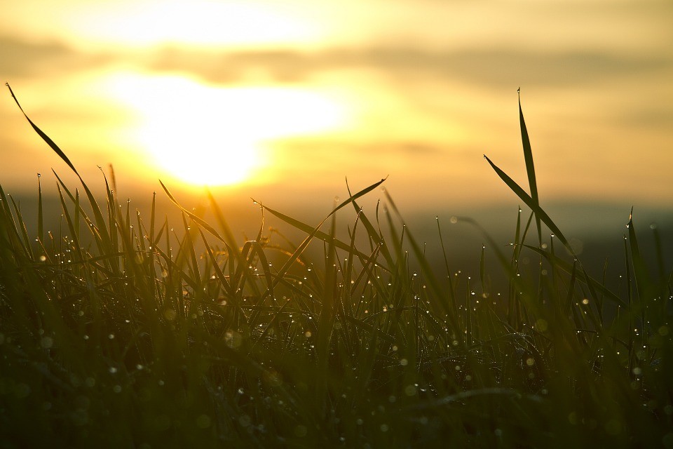Benefits of Sun and the Heilo Cage
