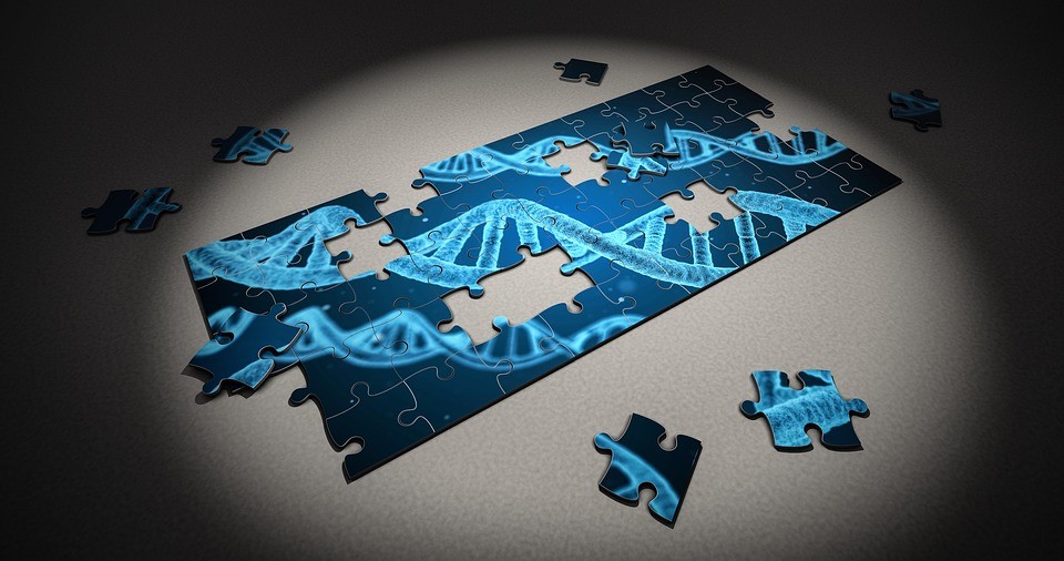 Genes Are like Keys on a Piano…