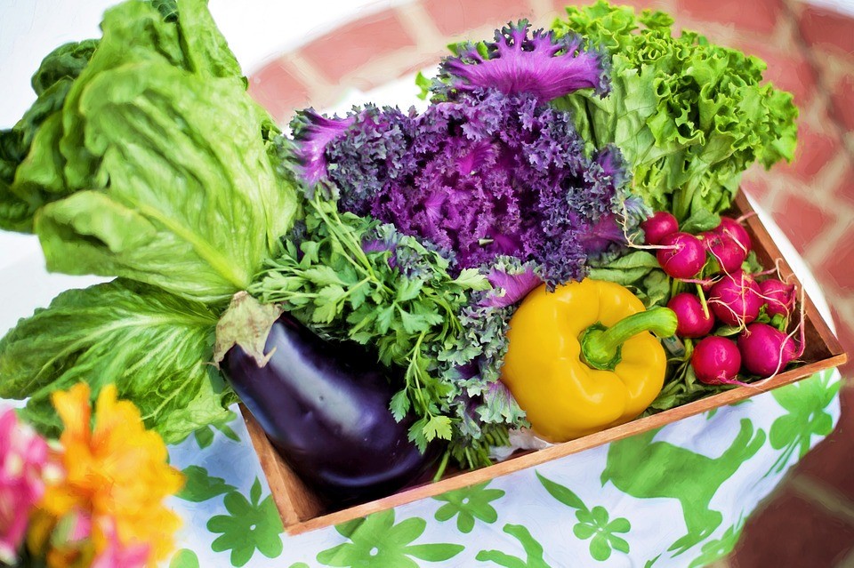 Family Eats Only Organic Food for Couple Weeks…