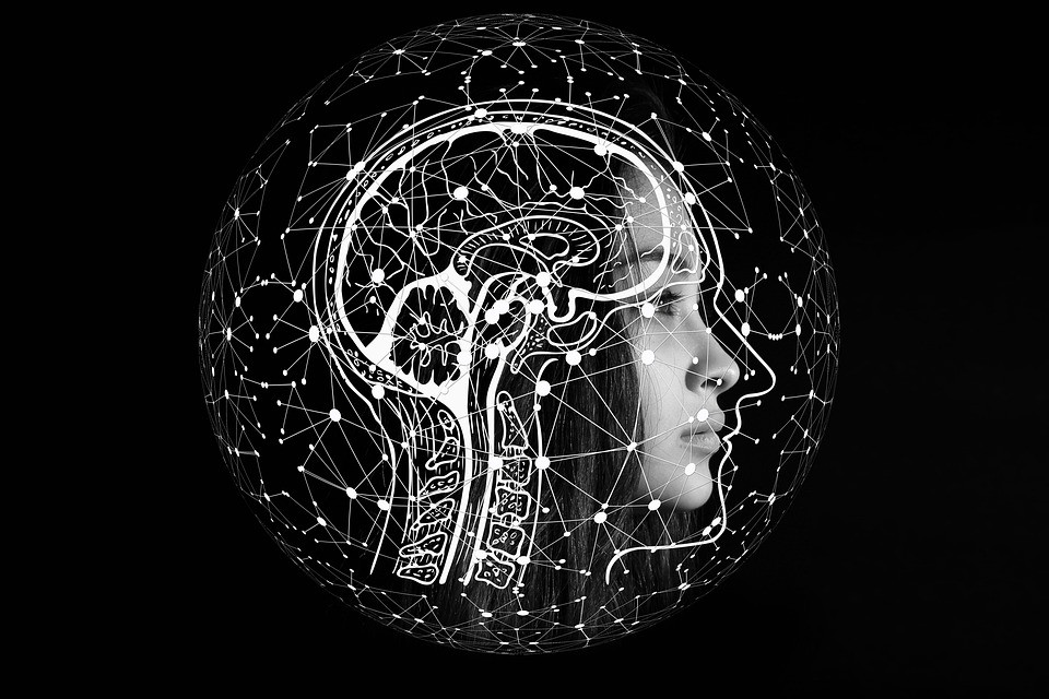 Do We Only Use 10% of Our Brains? Find Out The Truth….
