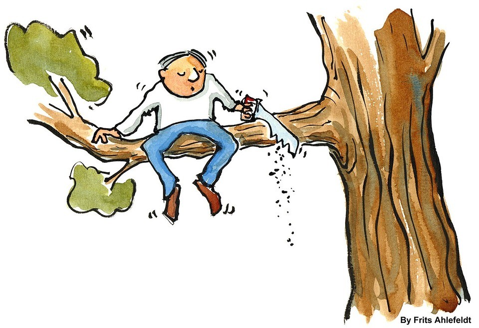 The “Try and Fail Cycle”