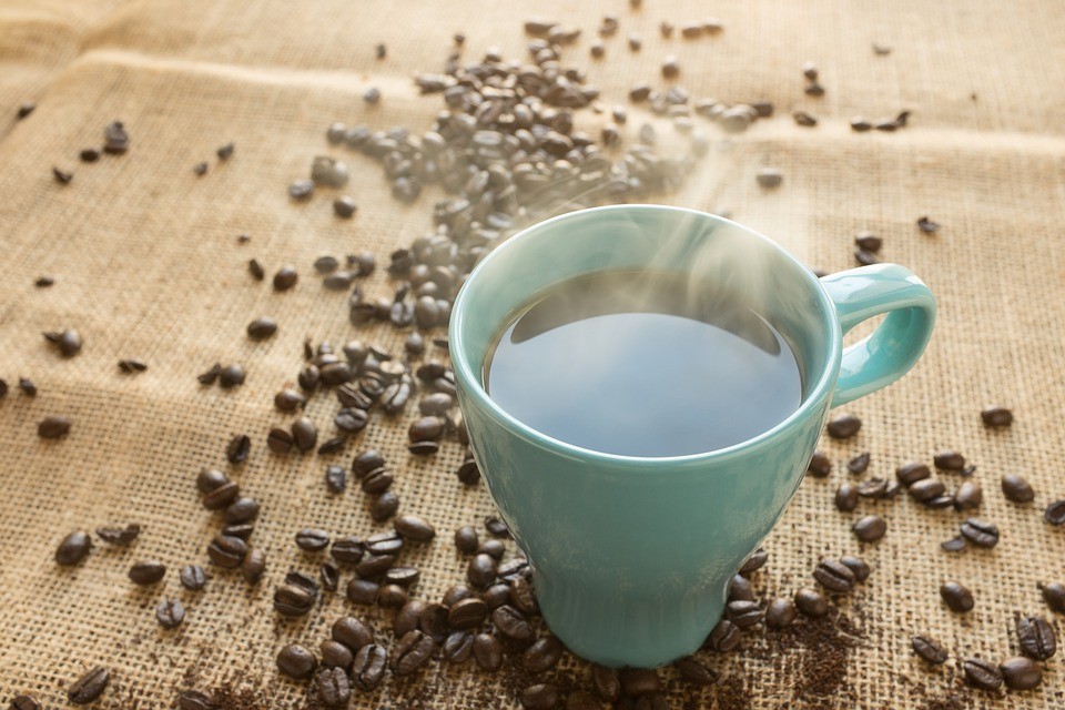 Here’s Why Your Human Farmers Insist You Keep Drinking Your Morning Coffee…….