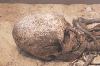 Paracus Elongated Skulls & the Caucasus Mountains