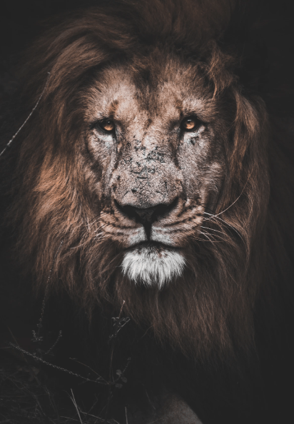 How To Conquer Health, Love, Money and Personal Growth