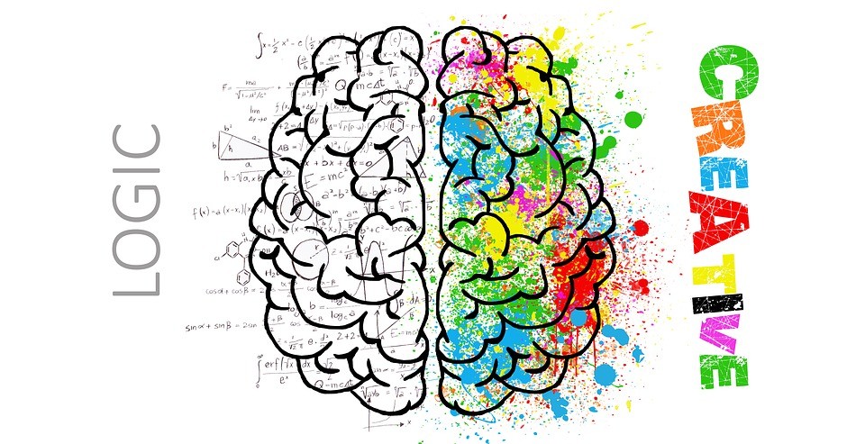 Is Your Brain Wired For Chaos?