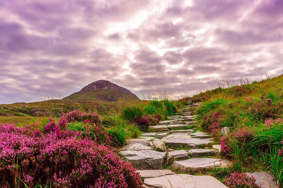 Ireland, Love, The Cranberries and Dreams