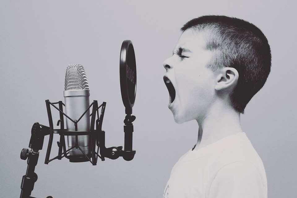 Destroying Freedom of Expression with the Internet