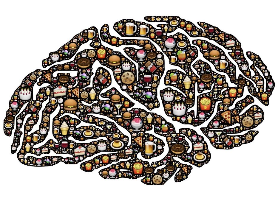 Can Bad Food Change Your Behavior?