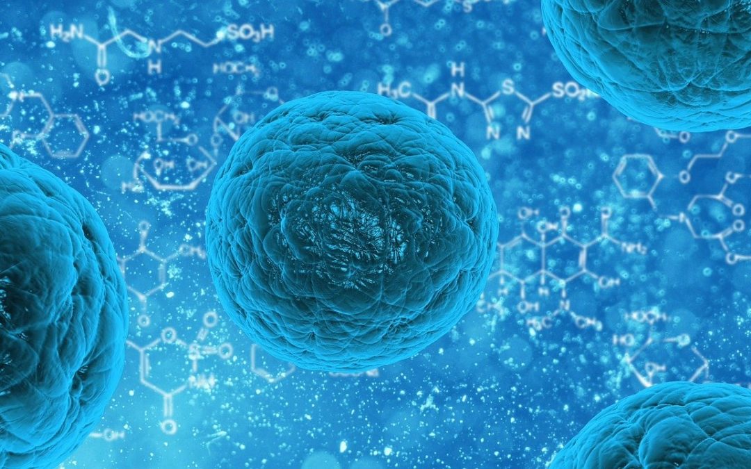 We Have Over 300 Trillion Viruses Contributing To Our Homeostatic Balance…..