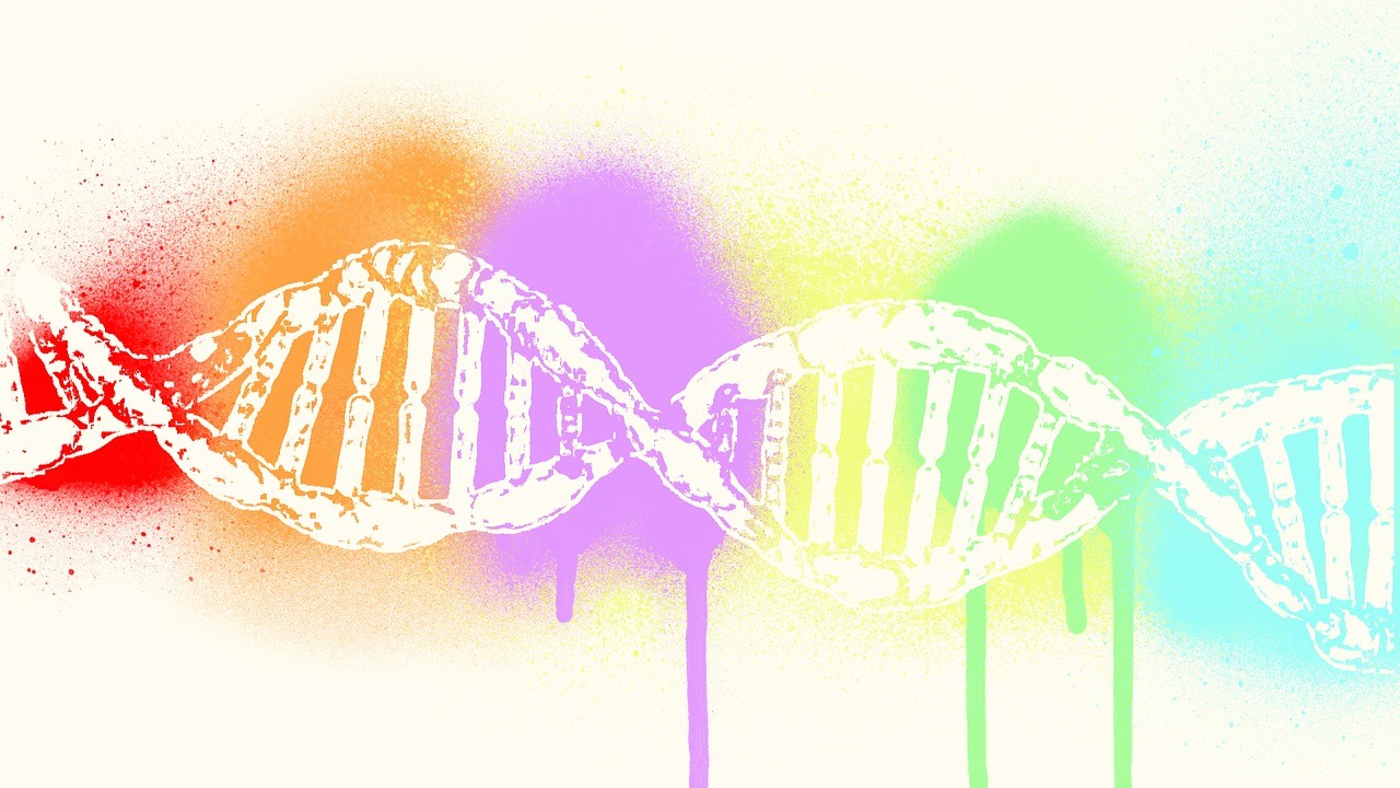 dna-2358911_1280