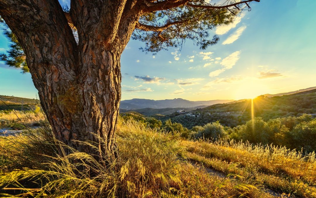 6 Great Online Business To Guarantee Your Future Freedom