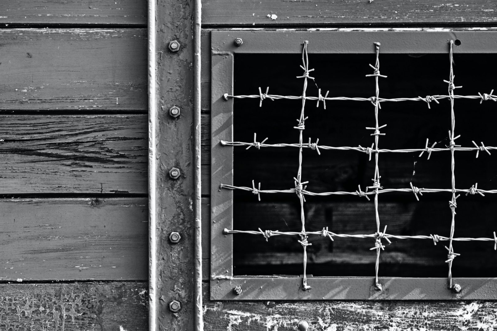 upsplash holocaust