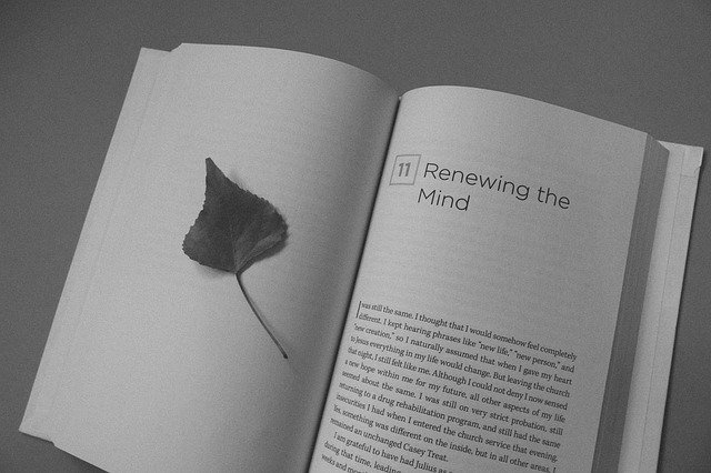 Regardless of Our Past We Can Reprogram for Success At Anytime