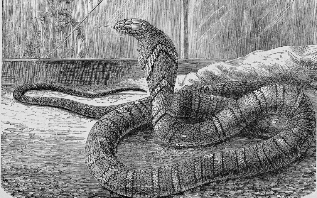 Ancient Word Magic and The Word Surveillance